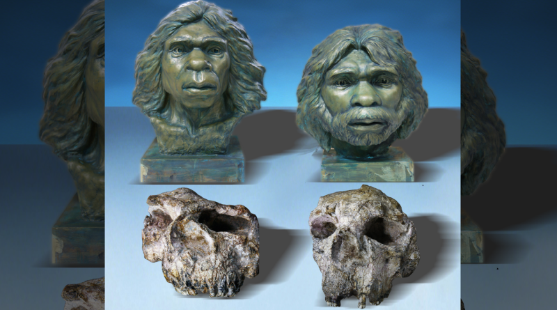 ‘Absolute surprise’: Homo erectus skulls found in China are almost 1.8 million years old — the oldest evidence of the ancient human relatives in East Asia