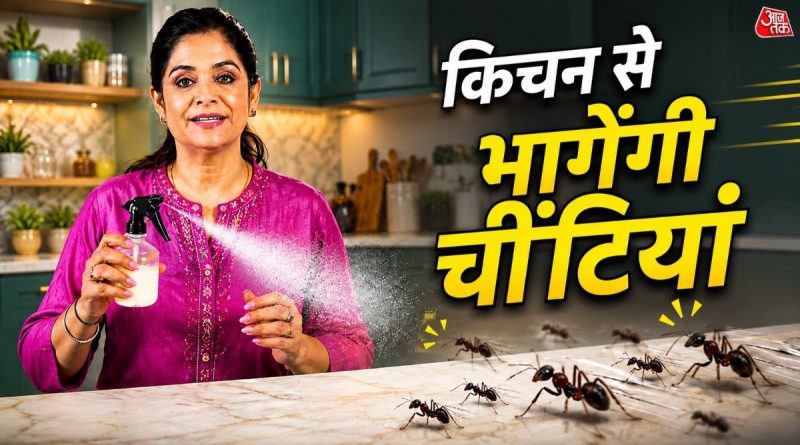 How to remove ants: गर्मी में चीनी के डिब्बे और स्लैब पर मंडरा रही हैं चींटियां? आजमाएं शेफ पंकज भदौरिया की ट्रिक, दुम दबाकर भागेंगी