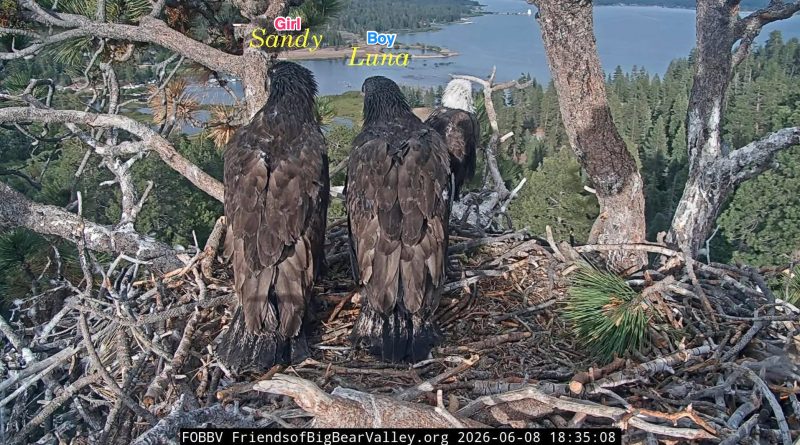 Jackie and Shadow’s chicks’ genders revealed: It’s a boy…and a girl!