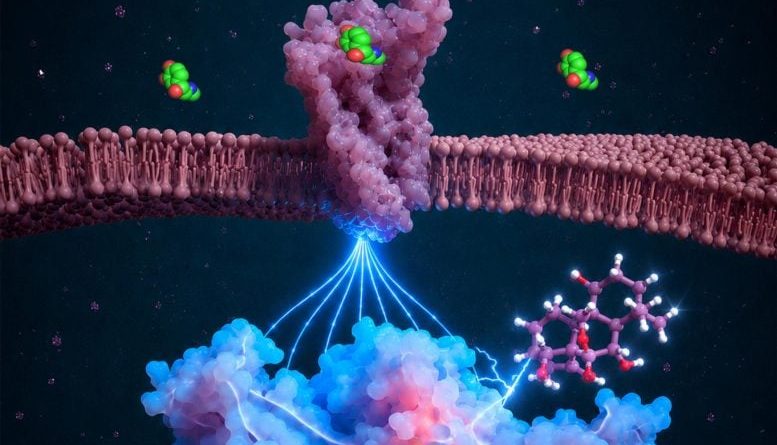A Major Drug Breakthrough Could Change How Ozempic and Wegovy Work