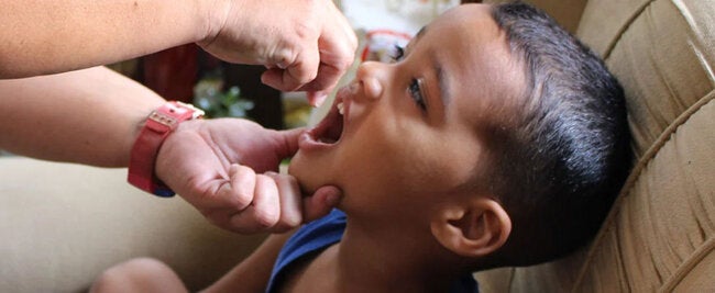 World Polio Day 2026: Americas mark 35 years free of wild poliovirus as vaccination gaps persist