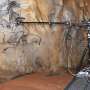 UV scans uncover natural varnish that may have preserved ancient Chauvet Cave drawings
